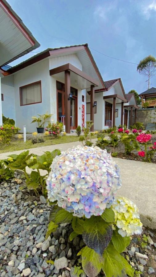Villa Madinna Dieng Diyeng Luaran gambar